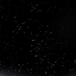 Meet your Posher, Destiny